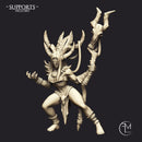 Shaman Heroine & Ritual Stone (AMAZONS! Kickstarter) - Only-Games