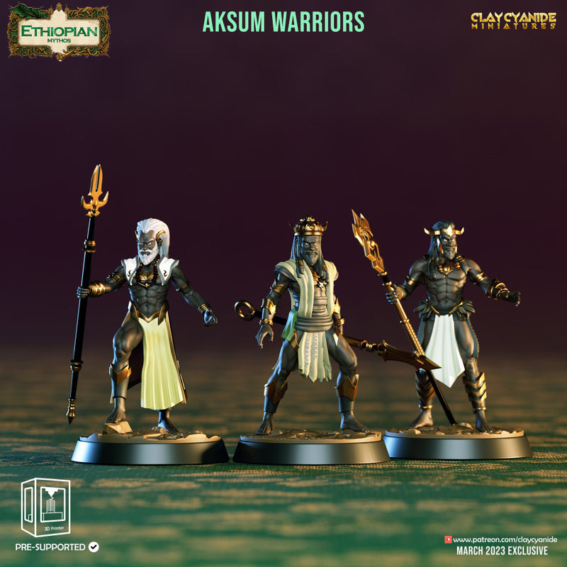 Aksum Warriors - Only-Games