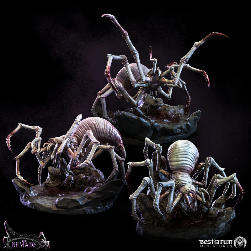 Cave Spider Encounter: Bundle