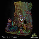 Satyr Scenery [PRE-SUPPORTED] Forest Nature Diorama - Only-Games