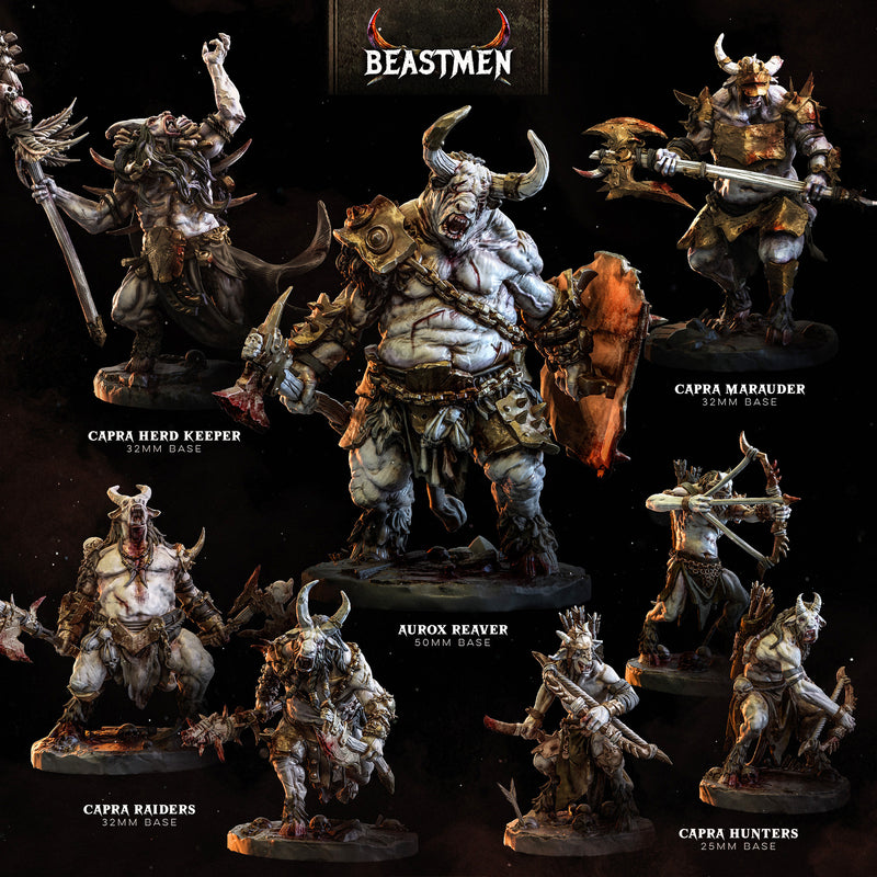 Beastman Warband: Bundle