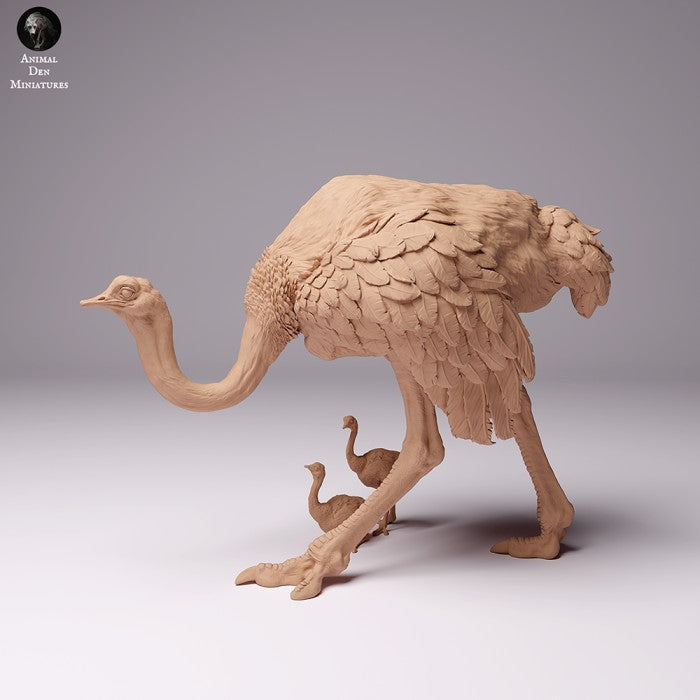 North African Ostrich Female and Chicks 1/43 - Only-Games