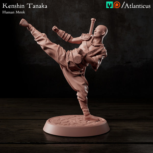 Kenshin Tanaka - Unarmed Kicking - Only-Games