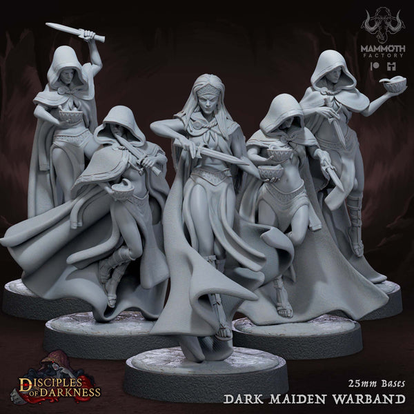 Dark Maidens Warband