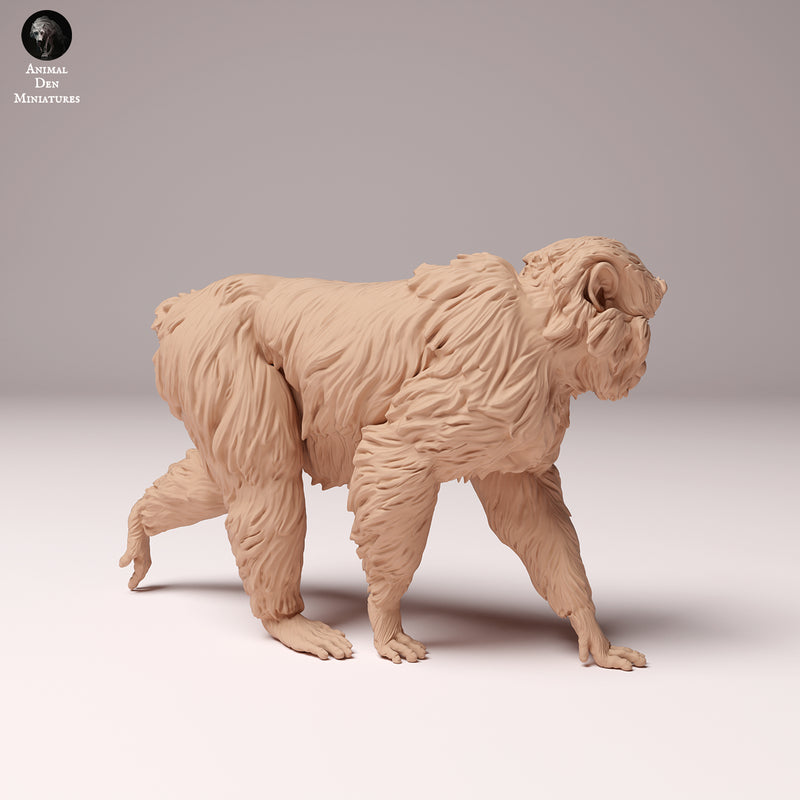 Japanese Macaque 1/87