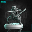 (0250) Female human elf tiefling half-orc firbolg assassin rogue thief with two swords or knives - Only-Games