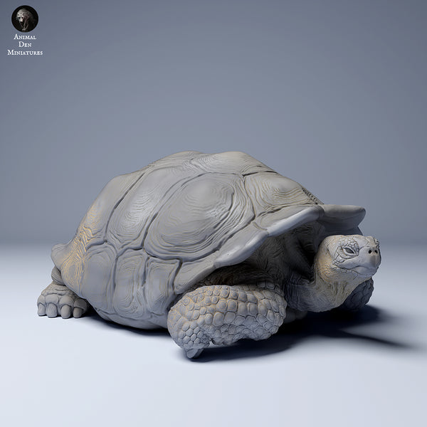 Galapagos Giant Tortoise Lying 1/87