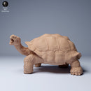 Galapagos Giant Tortoise Eating 1/87 - Only-Games