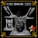 Flying Hawkman 3 (Jets) - Only-Games