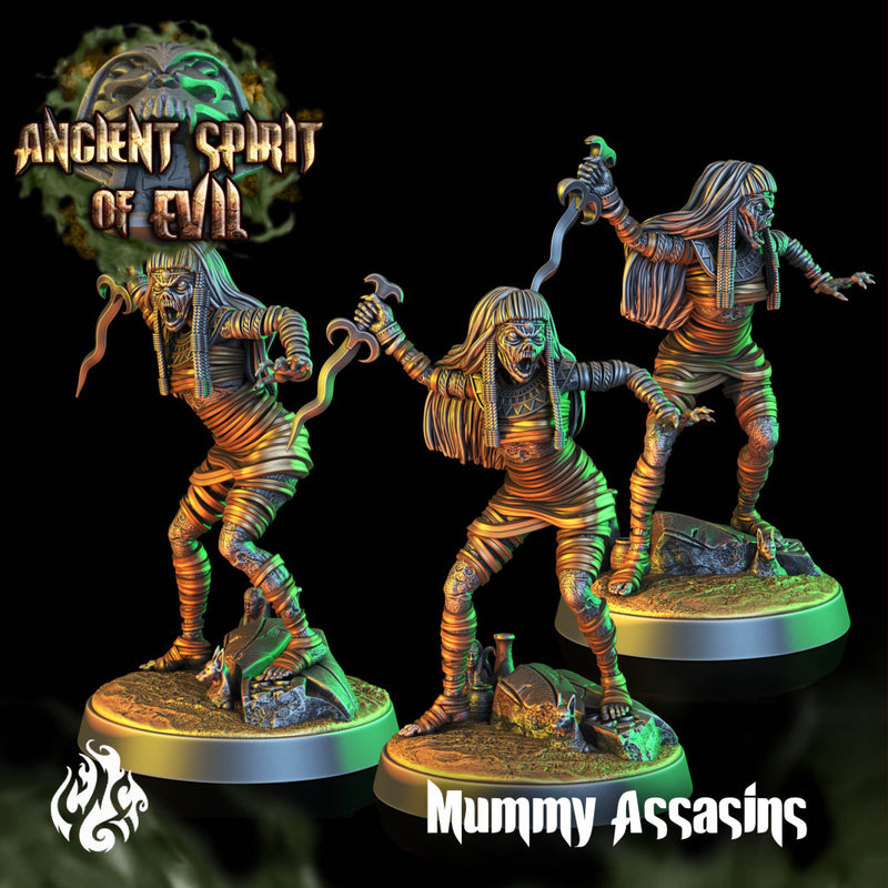 Mummy Assasins - Only-Games