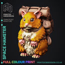 Space Hamster - Only-Games