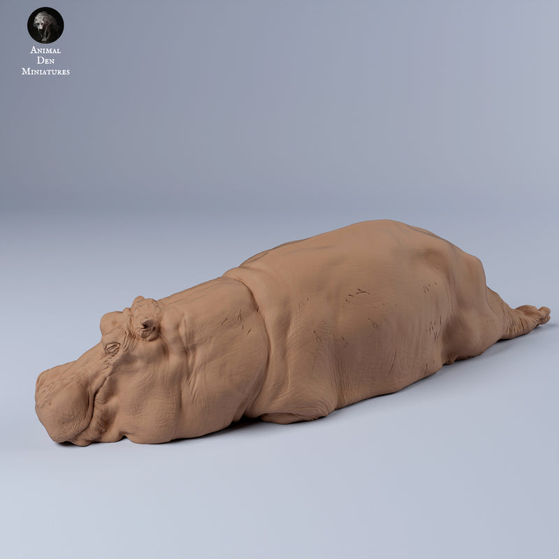 Hippo Sleep 1/43 - Only-Games