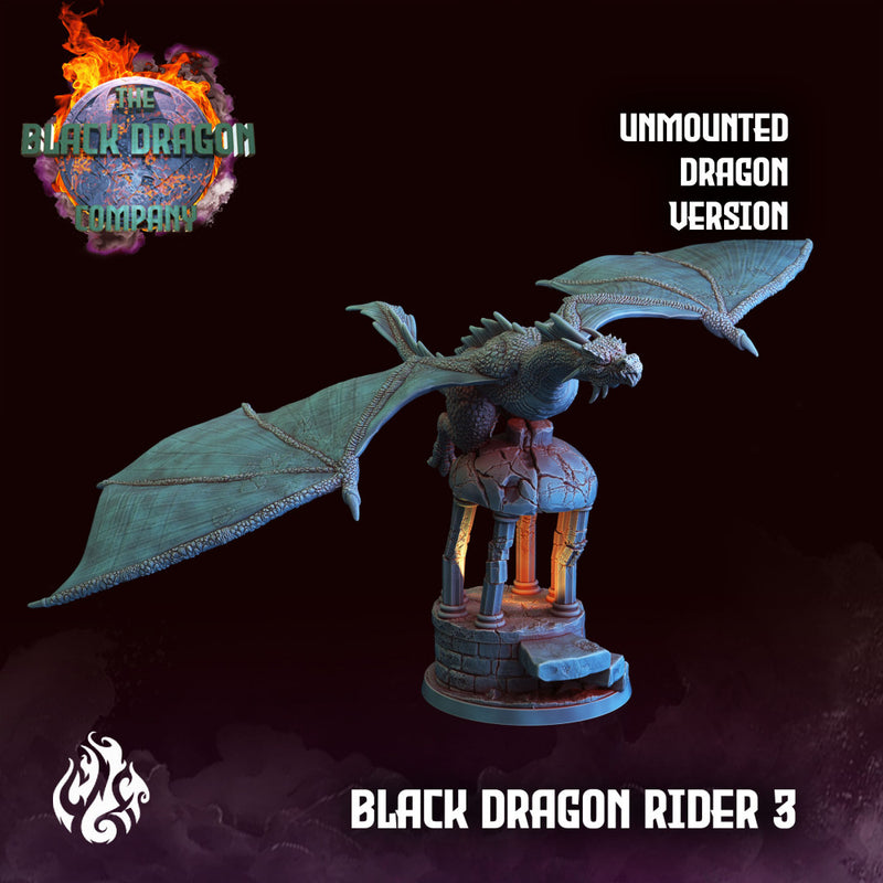 Black Dragon Rider - Only-Games