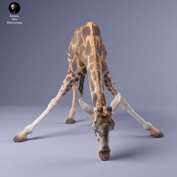 Rothschild's Giraffe Female Drinking 1/43 - Only-Games