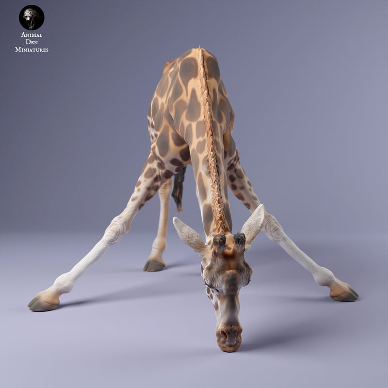 Rothschild's Giraffe Female Drinking 1/43 - Only-Games