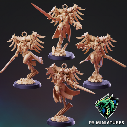 Divine Order Valkyrie Vol 1 - 5 Model Bundle - Only-Games