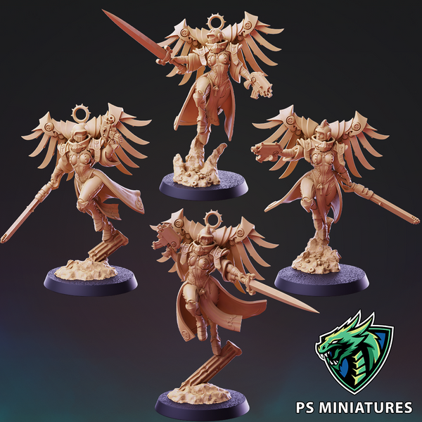 Divine Order Valkyrie Vol 1 - 5 Model Bundle