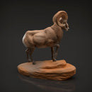Bighorn Ram 1/32 - Only-Games