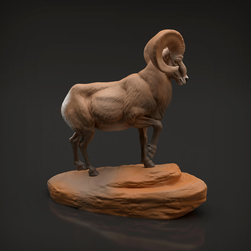 Bighorn Ram 1/32