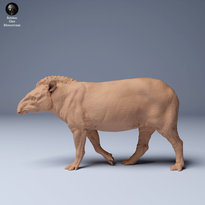 Brazilian Tapir Walking 1/43 - Only-Games