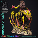 Aranea The Drider - Only-Games