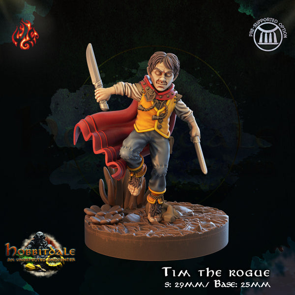Tim the rogue - Only-Games