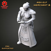 Ash Elf Merchant B - Only-Games