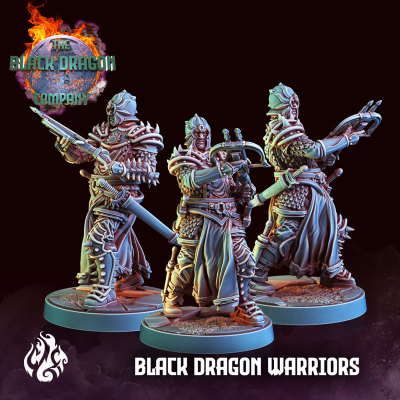 Black Dragon Warriors - Only-Games