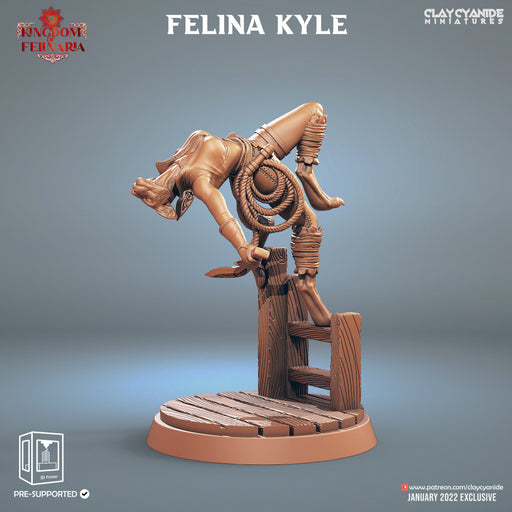Felina Kyle - Only-Games