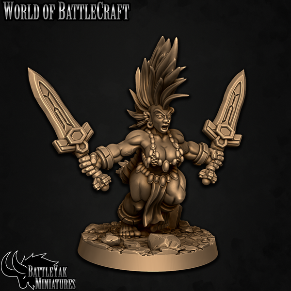 Wydowslayer with Twin-Swords | World of BattleCraft Hero