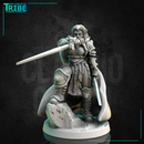 (0271) Female human tiefling firbolg half orc elf warrior paladin fighter with a swords and armor