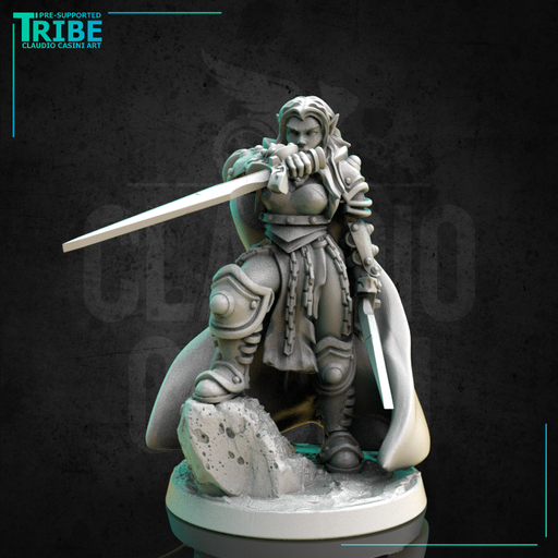(0271) Female human tiefling firbolg half orc elf warrior paladin fighter with a swords and armor - Only-Games