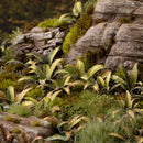 Deer Fern - Laser Cut plants - Only-Games