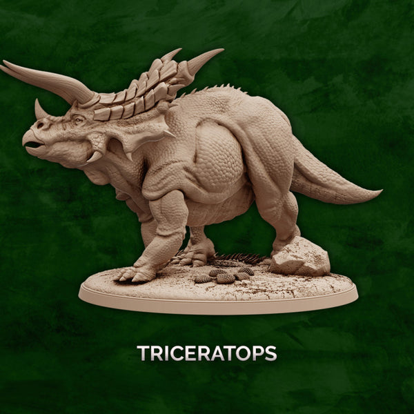 Triceratops - Dinosaur