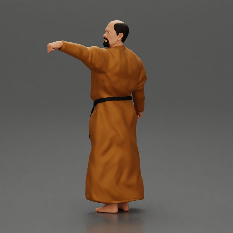 kung fu master performing kung fu moves