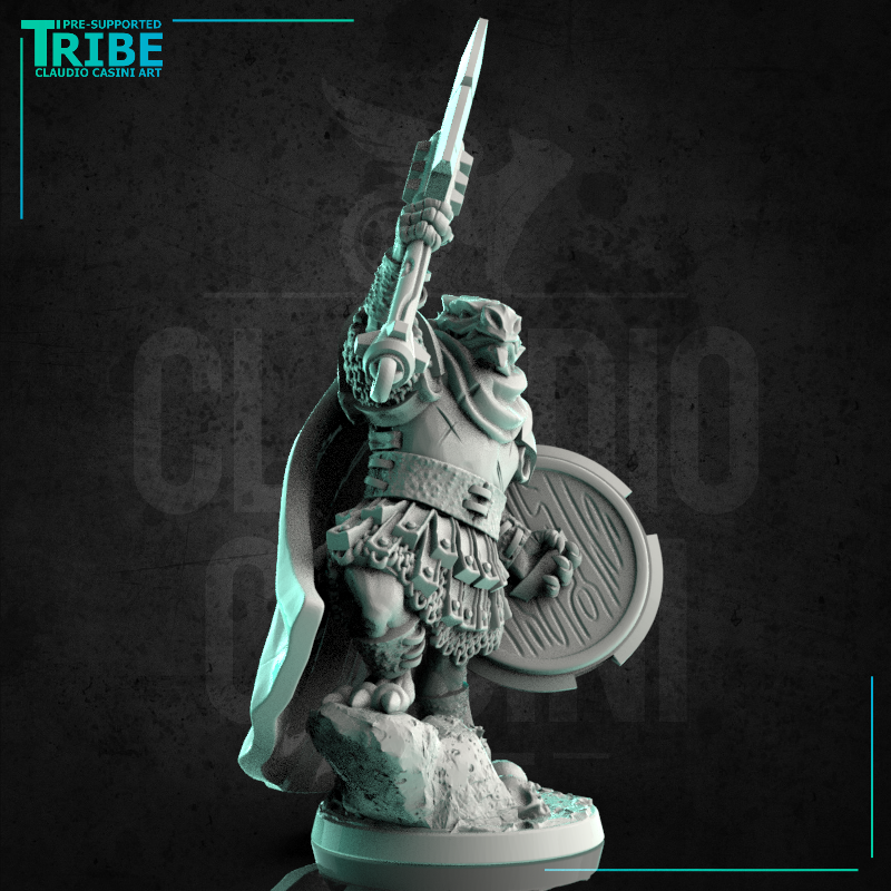 (0226) Male dragon warrior with great axe, shield and armor - Only-Games