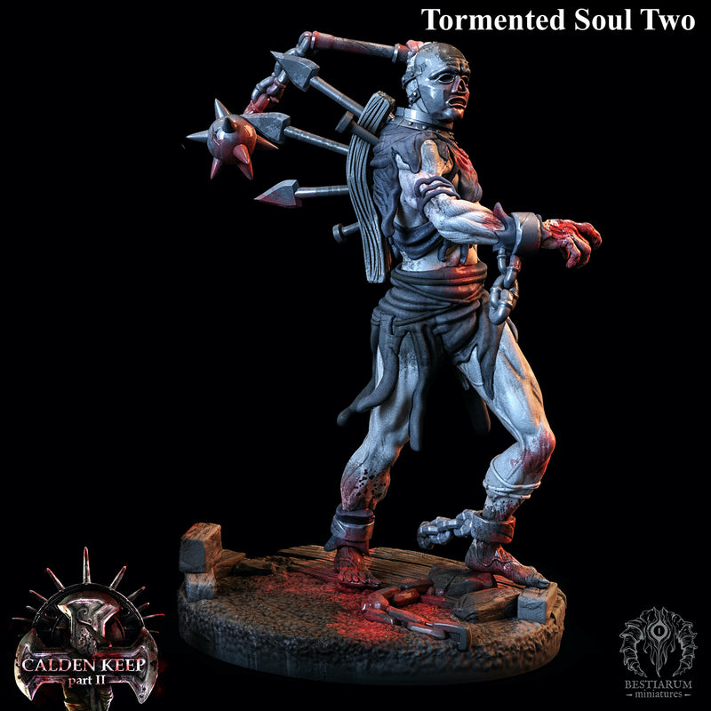 Tormented Souls - Only-Games