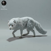 Arctic Fox 1/32 - Only-Games