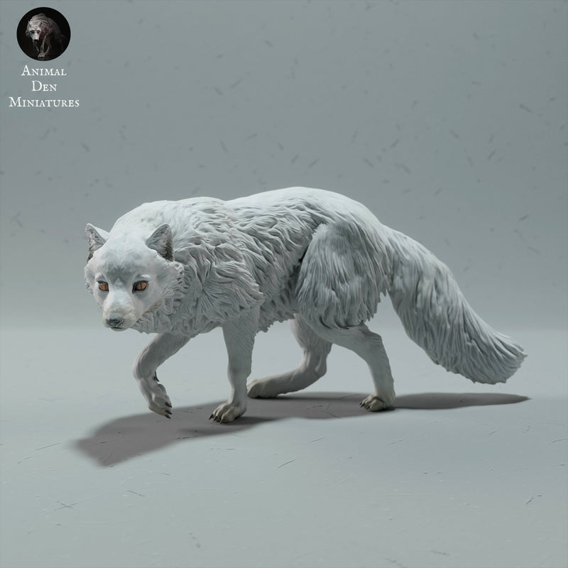 Arctic Fox 1/32 - Only-Games
