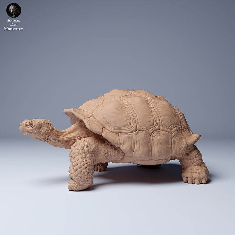 Galapagos Giant Tortoise 1/87