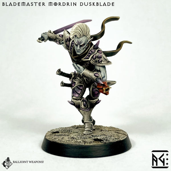 Blademaster Mordrin Duskblade /Blacktongue Assassins) - Only-Games
