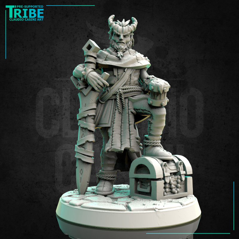 (0207) Male human tiefling firbolg half-orc elf brigand warrior with a sword - Only-Games