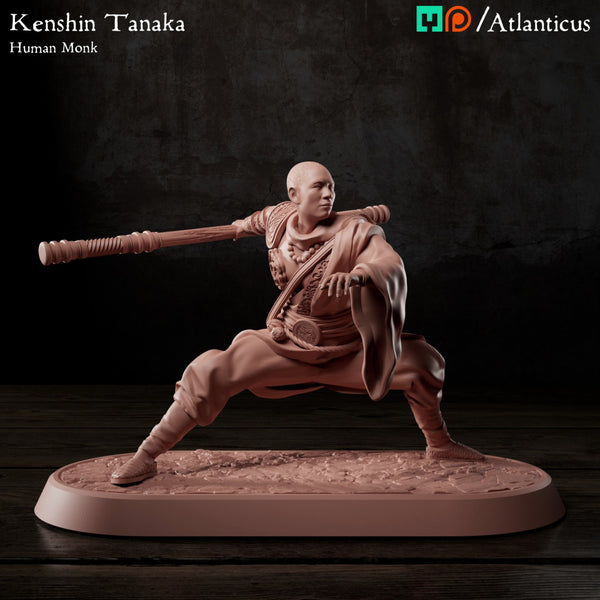 Kenshin Tanaka - Staff Squarestance