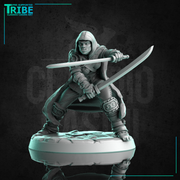 (0250) Female human elf tiefling half-orc firbolg assassin rogue thief with two swords or knives - Only-Games