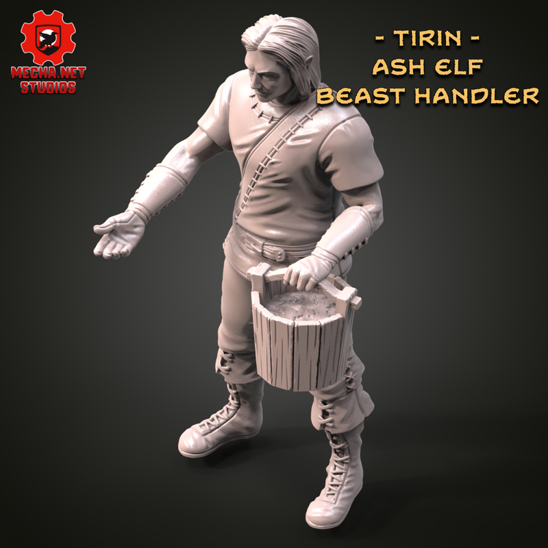 Tirin - Ash Elf Beast Handler