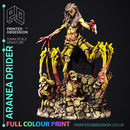 Aranea The Drider - Only-Games