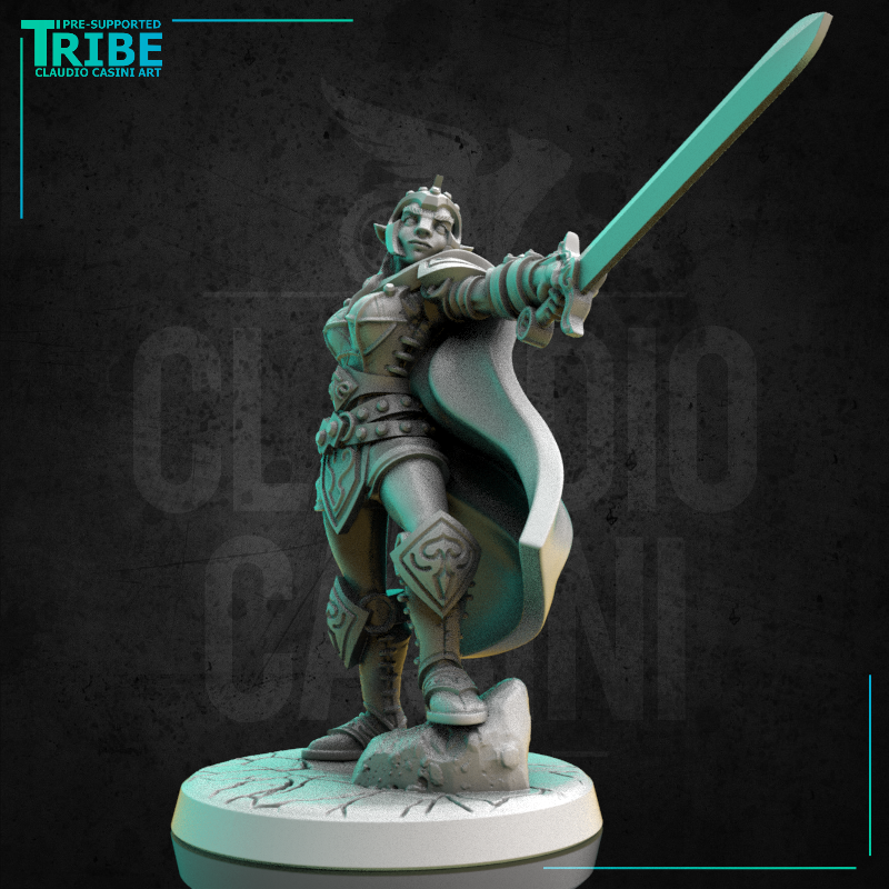 (0267) Female human elf tiefling firbolg half-orc paladin warrior commander with a cape complete armor and sword - Only-Games