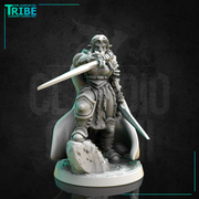 (0271) Female human tiefling firbolg half orc elf warrior paladin fighter with a swords and armor - Only-Games