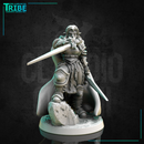 (0271) Female human tiefling firbolg half orc elf warrior paladin fighter with a swords and armor