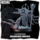 Hulkencarne Sorcerer (physical miniature)